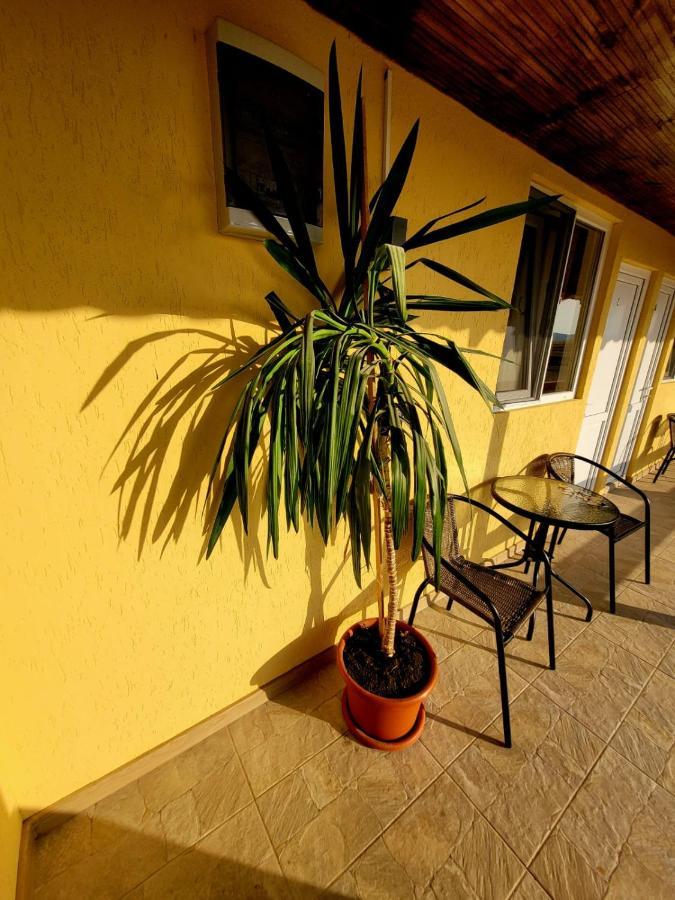Cabana Varad Coronini Moldova Veche 外观 照片