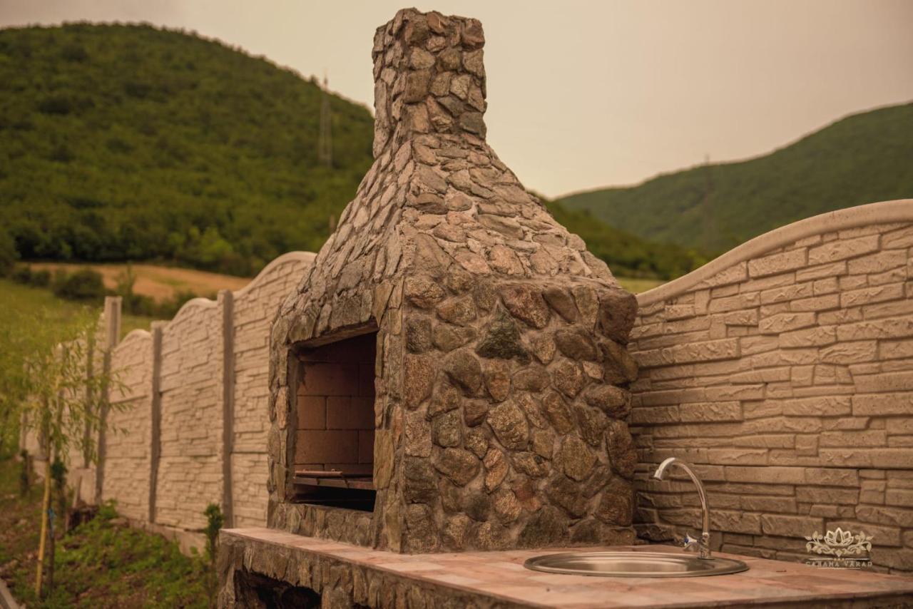 Cabana Varad Coronini Moldova Veche 外观 照片