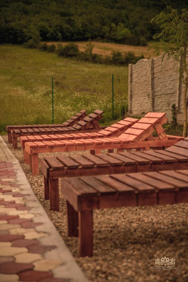 Cabana Varad Coronini Moldova Veche 外观 照片