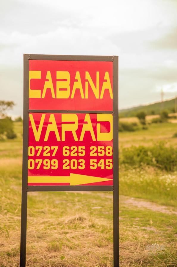 Cabana Varad Coronini Moldova Veche 外观 照片